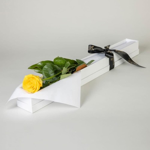 First White Rose